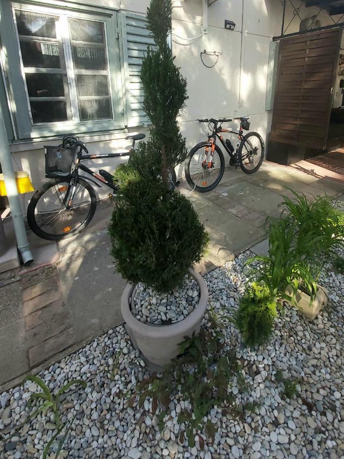 Garden Budha Relax Apartman, Parking, Bbq, Terrace Siófok Exterior foto